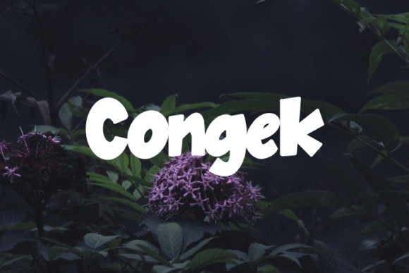 Congek Font: A Creative Typeface for Editorial Design