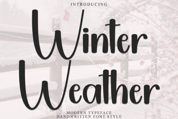 Winter Weather Font for Festive Branding and Business Designs
